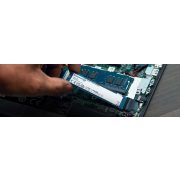 Kingston 250GB m.2 2280 NVMe SNV2S/250 ssd