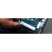 Kingston 250GB m.2 2280 NVMe SNV2S/250 ssd